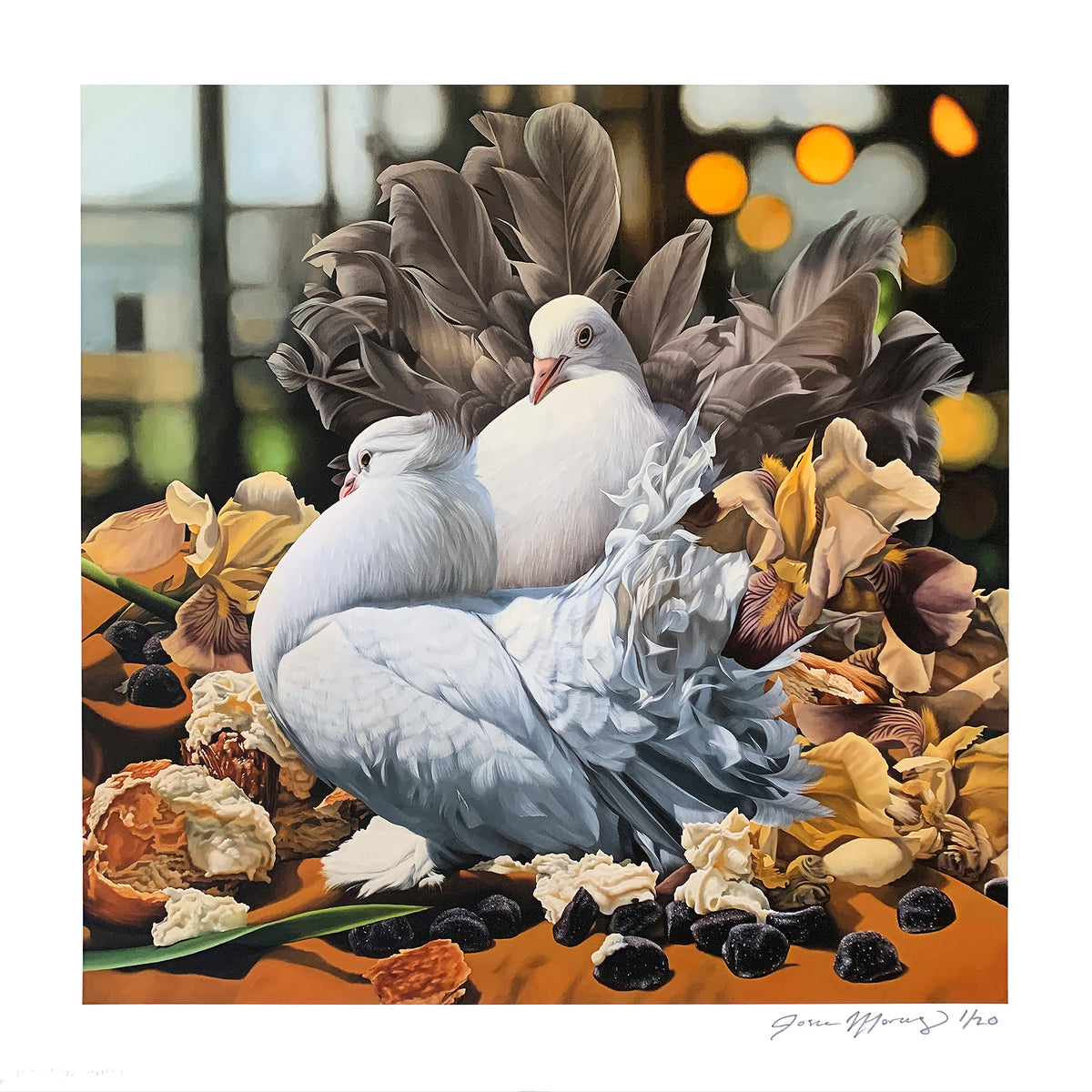 Josie Morway &quot;Fancy Pigeons...&quot; - Archival Print, Limited Edition of 15 - 12 x 12&quot;