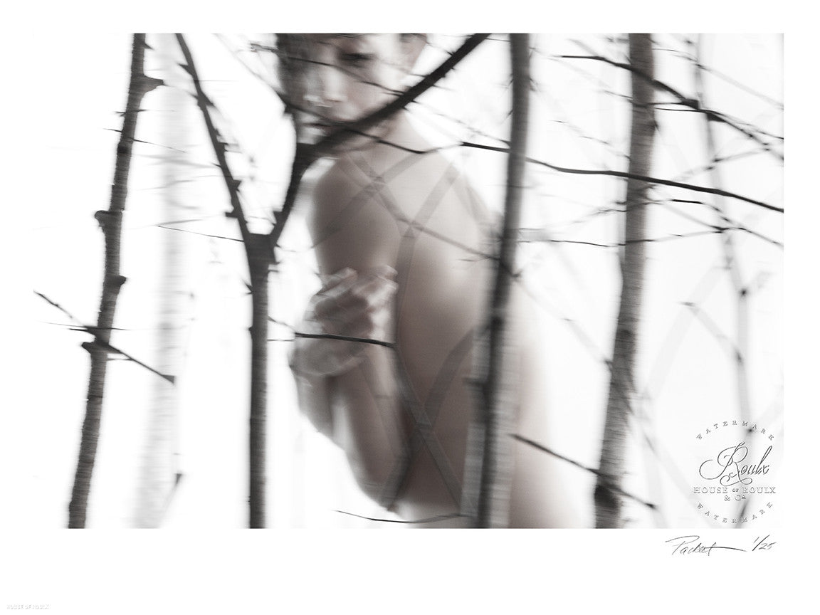 Red-Raven &quot;Nude Birch&quot; - Limited Edition, Archival Print
