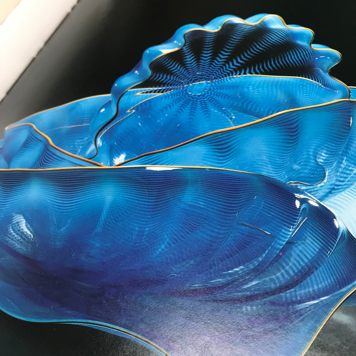 Chihuly - Signed &quot;Form from Fire,&quot; First Edition, 1993