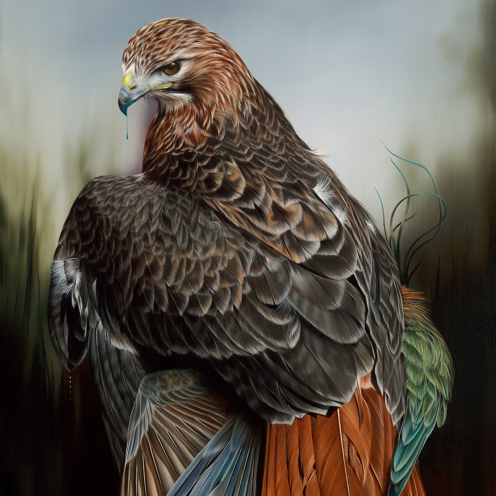 Josie Morway - 2 All New Editions - 7/13/22