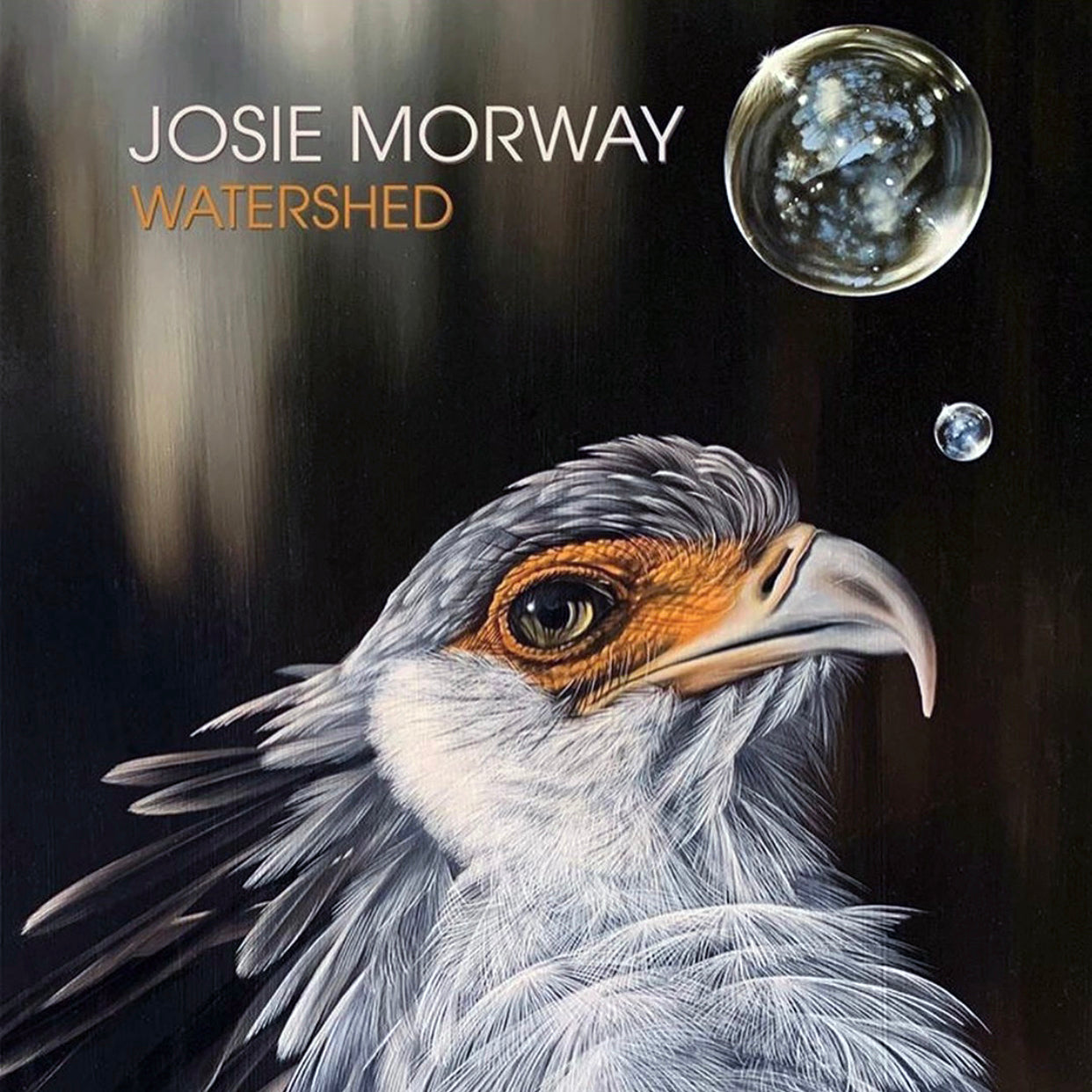 Josie Morway's "Watershed" Solo Exhibit
