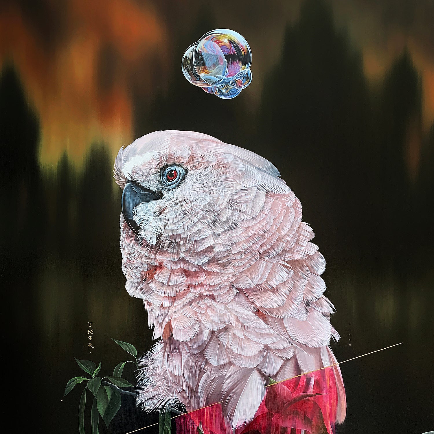 Josie Morway: "Mirage" - 12/5/22