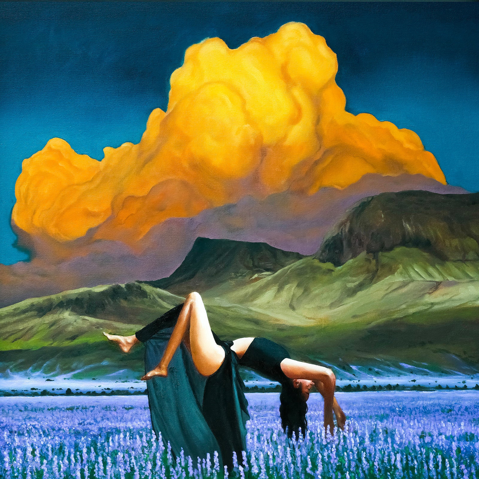 Mr. Everybody: "The Lavender Field" - 2/21/24