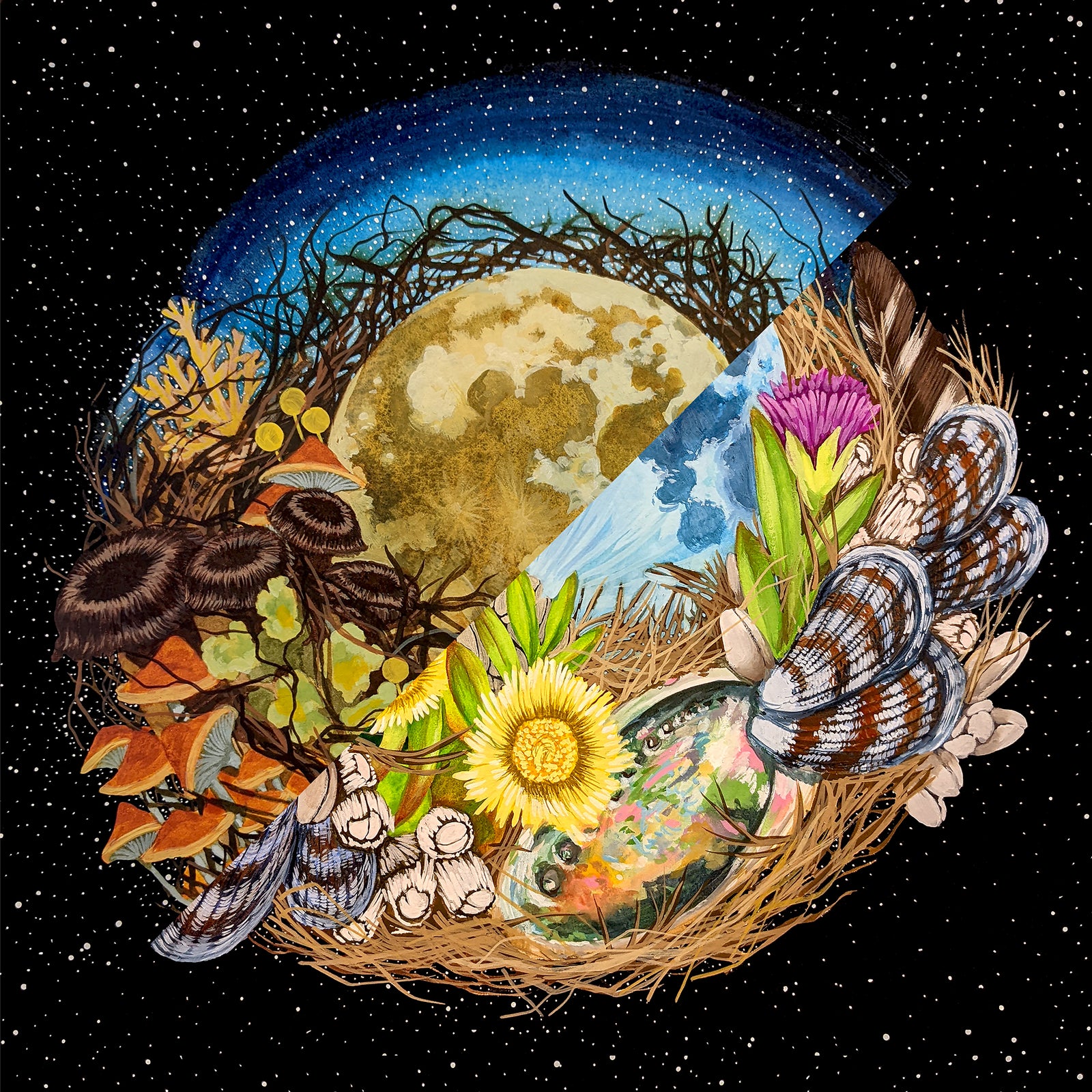 Shannon Taylor: "Nest" Set of Print Editions - 7/20/23