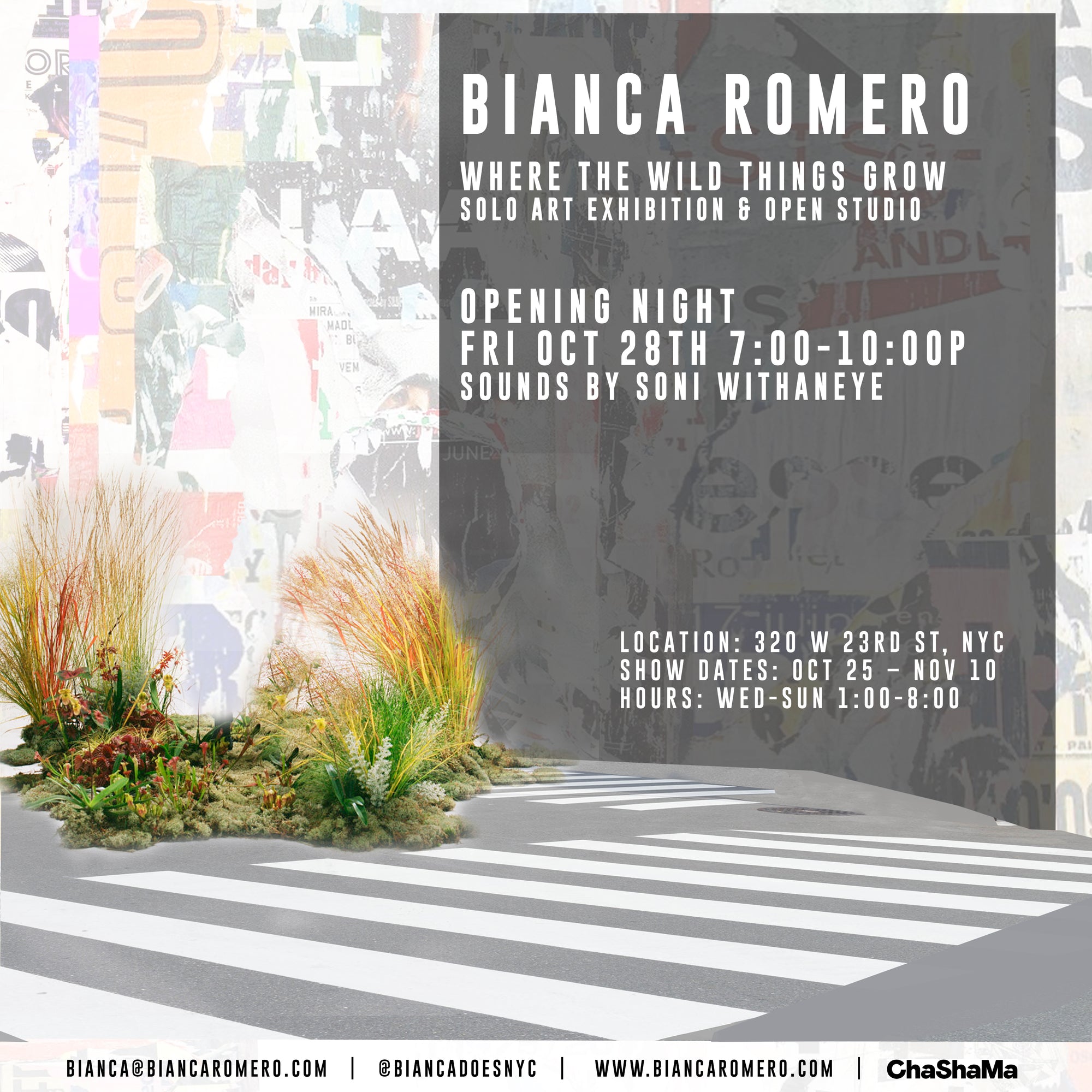 Bianca Romero: "Where the Wild Things Grow" Exhibit, NYC