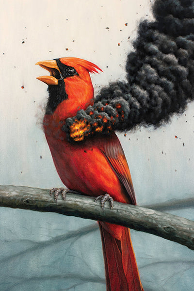 Criminy Johnson (QRST)