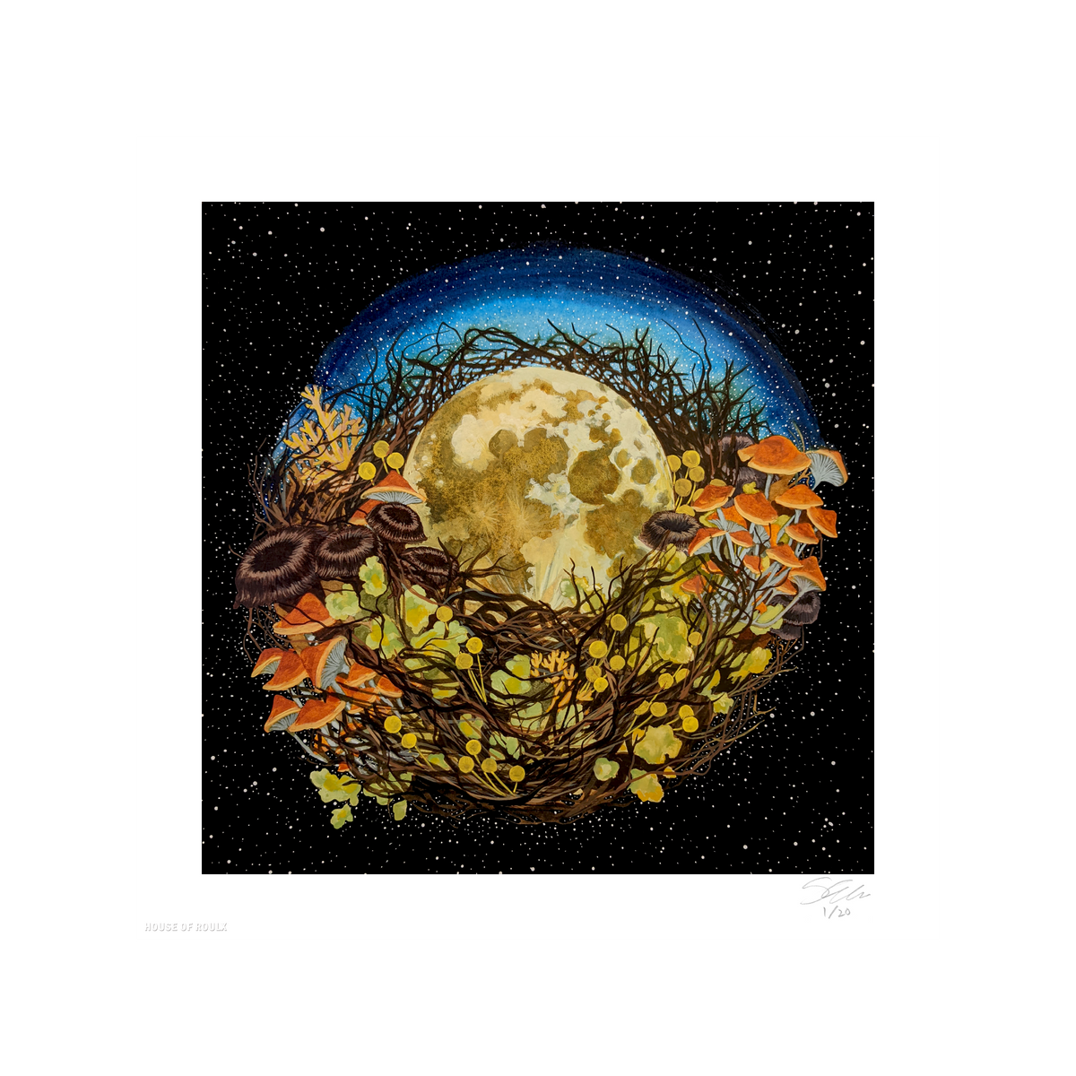 Shannon Taylor &quot;Forest Nest&quot; - Archival Print, Limited Edition of 20 - 12 x 12&quot;