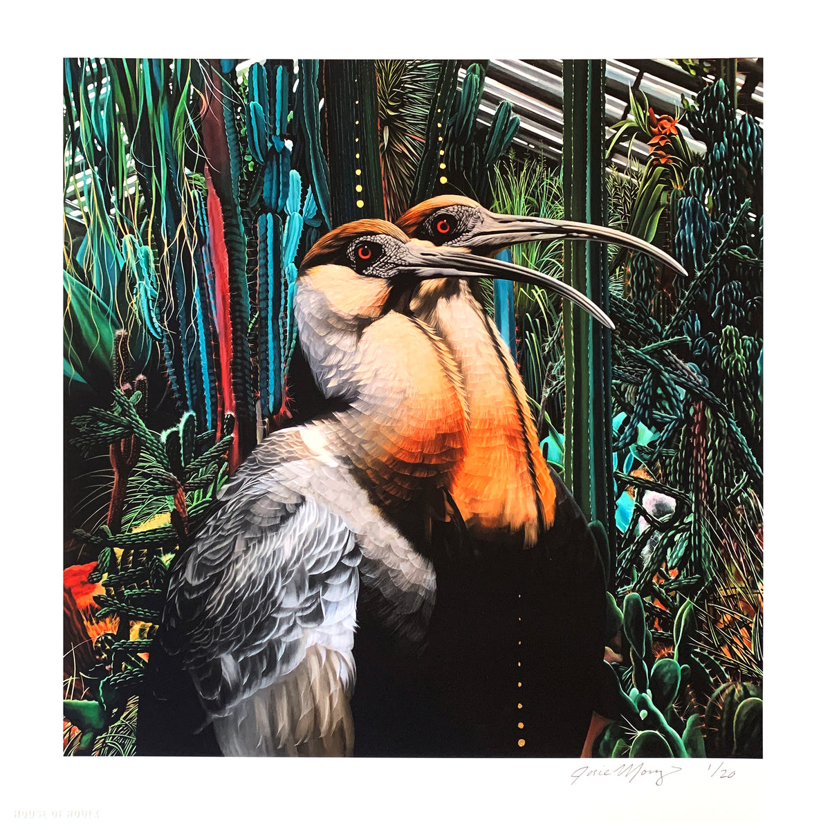 Josie Morway &quot;Vigilant Ibises...&quot; - Hand-Embellished Edition of 5 - 12 x 12&quot;