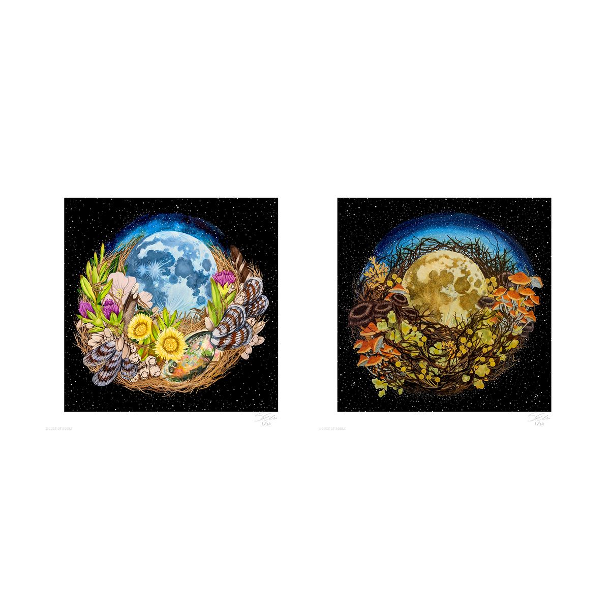 Shannon Taylor &quot;Nest Series&quot; - Archival Print Set of 2 - 12 x 12&quot; Each