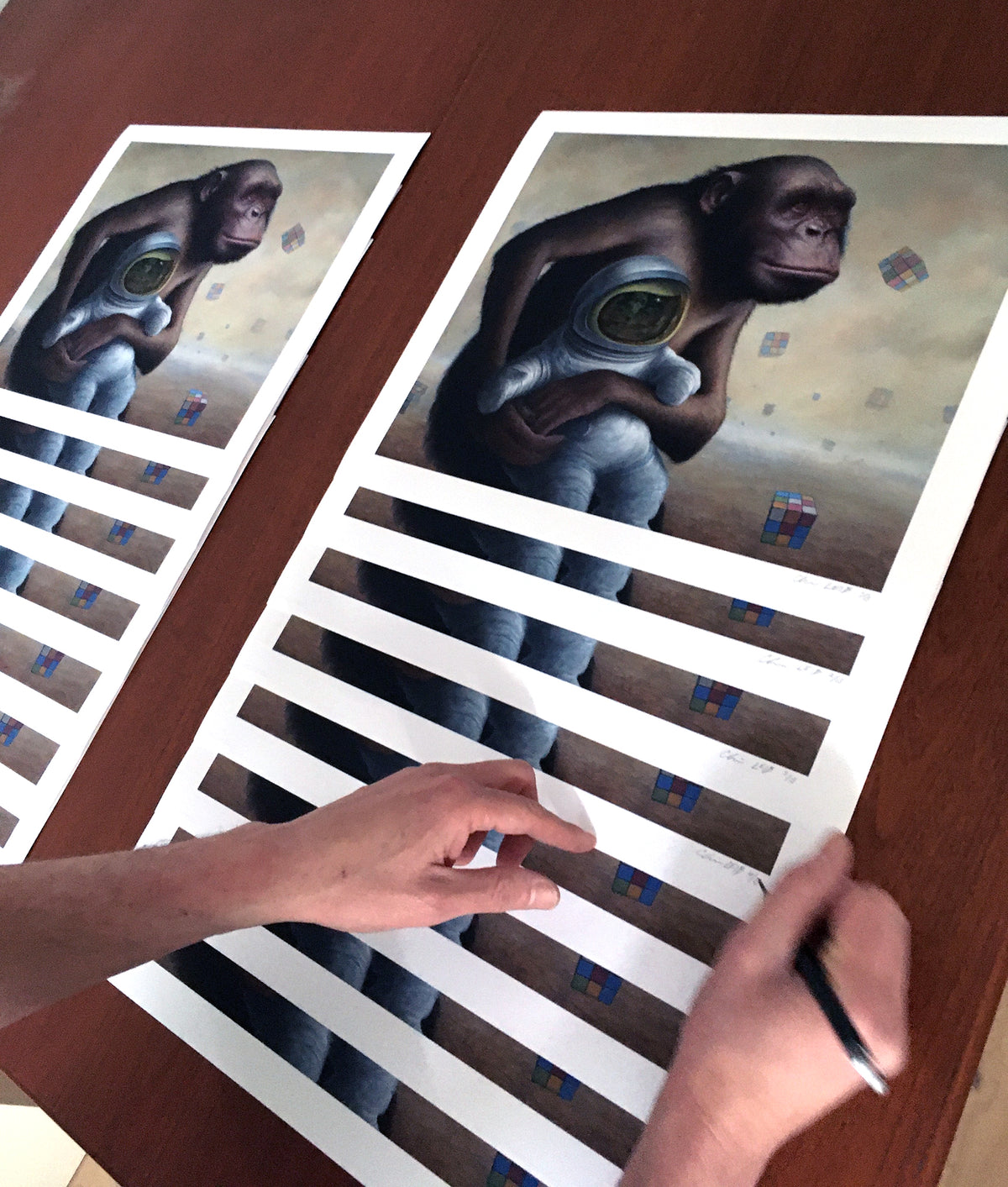 Chris Leib &quot;Mind Field&quot; - Archival Print, Limited Edition of 15 - 14 x 17&quot;