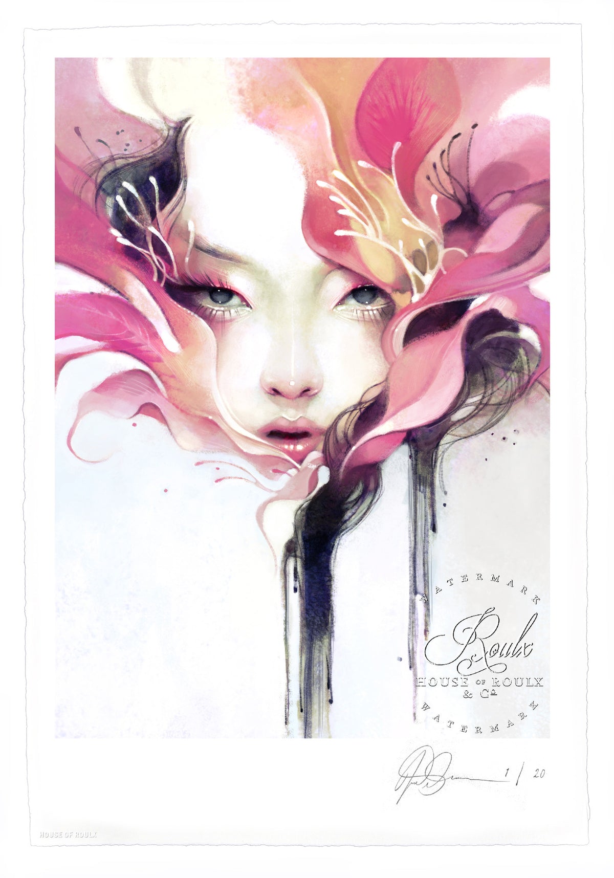 Anna Dittmann &quot;Bauhinia&quot; - Limited Edition, Archival Print
