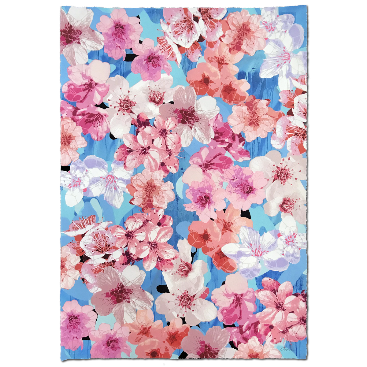 Campbell La Pun &quot;Sakura Manka&quot; - Archival Print, Limited Edition of 15 - 17.5 x 25.5&quot;