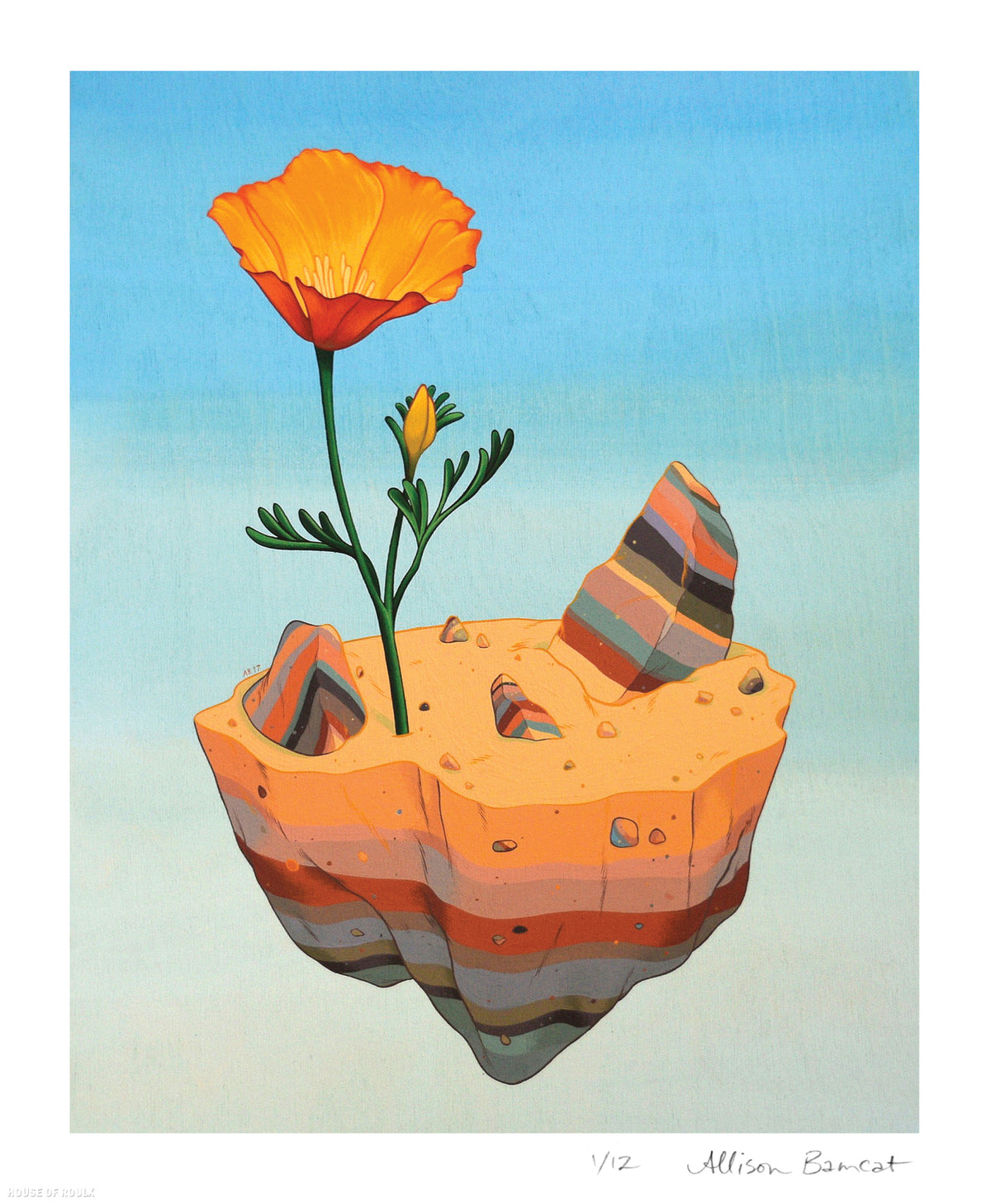 Allison Bamcat &quot;Desert Poppy&quot; - Limited Edition, Archival Print - 14 x 17&quot;