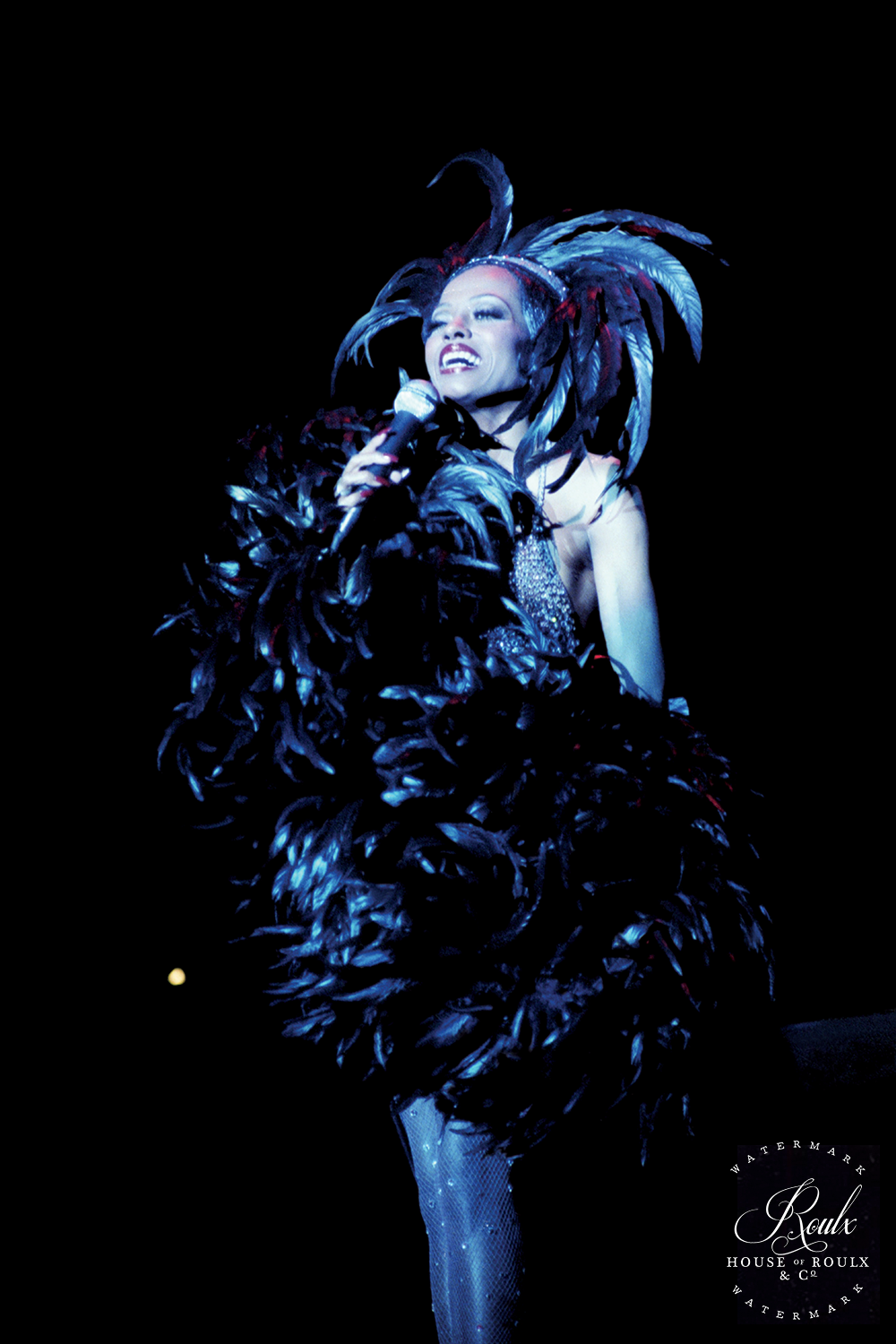 Diana Ross (by Peter Warrack) - Limited Edition, Archival Print