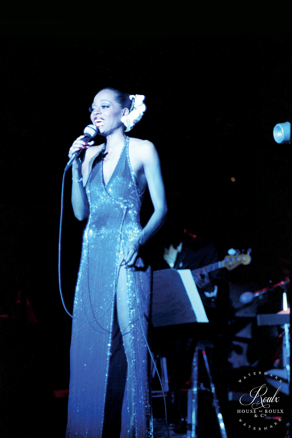 Diana Ross (by Peter Warrack) - Limited Edition, Archival Print