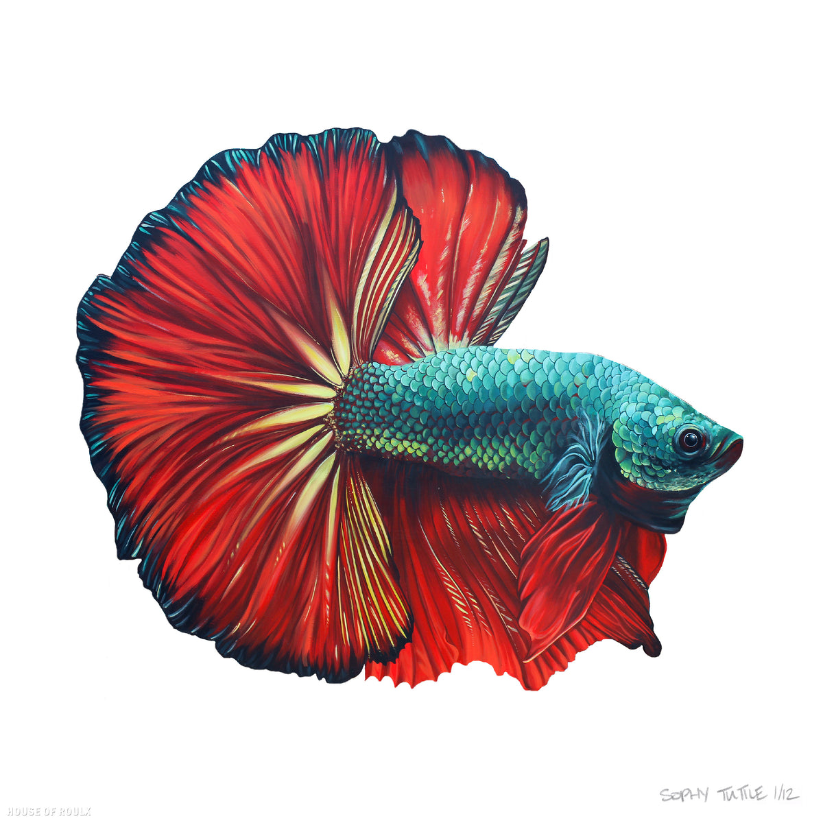 Sophy Tuttle - &quot;Floating Fish 2&quot; - Archival Print, Limited Edition of 12 - 12 x 12&quot;