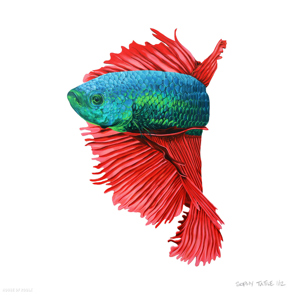 Sophy Tuttle - &quot;Floating Fish 3&quot; - Archival Print, Limited Edition of 12 - 12 x 12&quot;