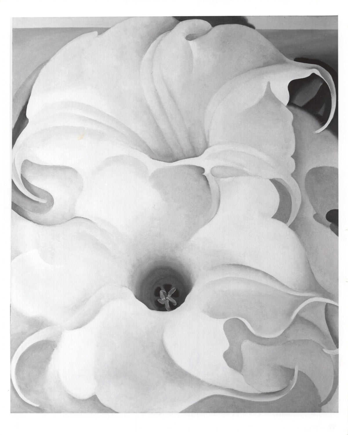 Georgia O&#39;Keeffe - &quot;To Datura&quot; - Signed 8x10 Photograph, 1967