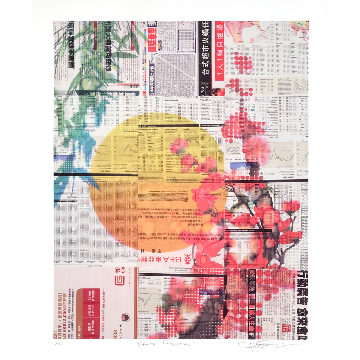 Phillip Hua &quot;Growth Potential&quot; - Archival Print, Limited Edition of 20 - 14 x 17&quot;