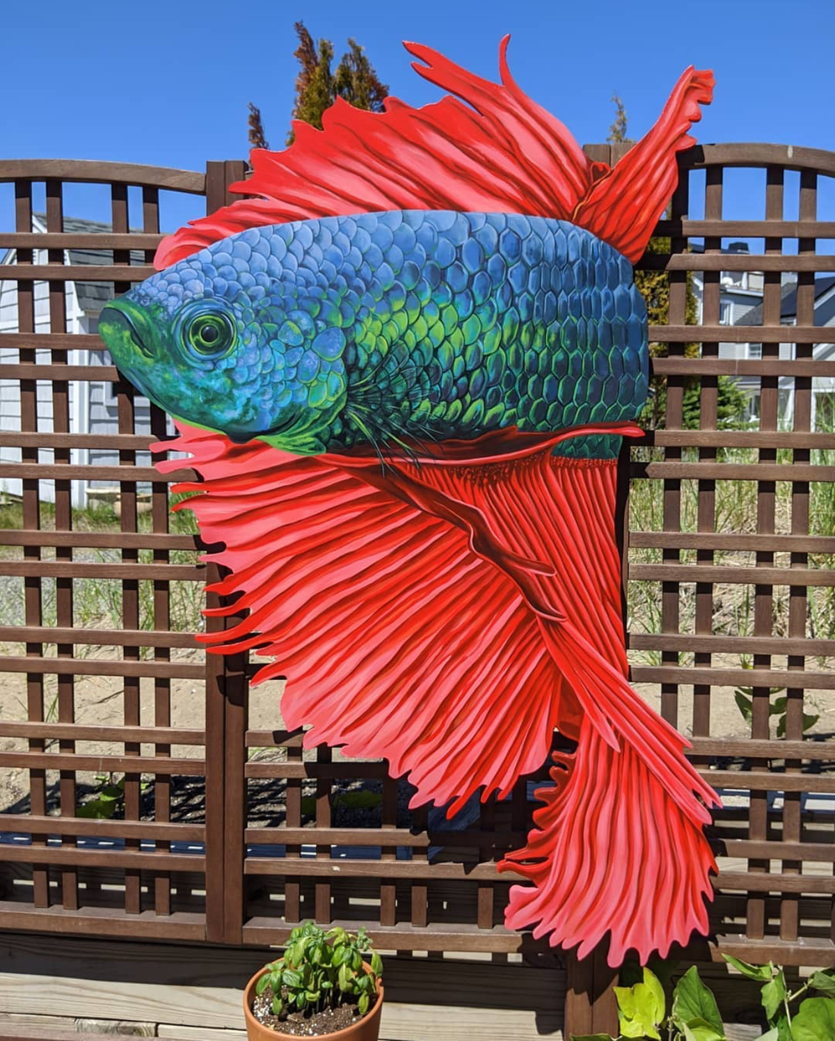 Sophy Tuttle - &quot;Floating Fish 3&quot; - Archival Print, Limited Edition of 12 - 12 x 12&quot;