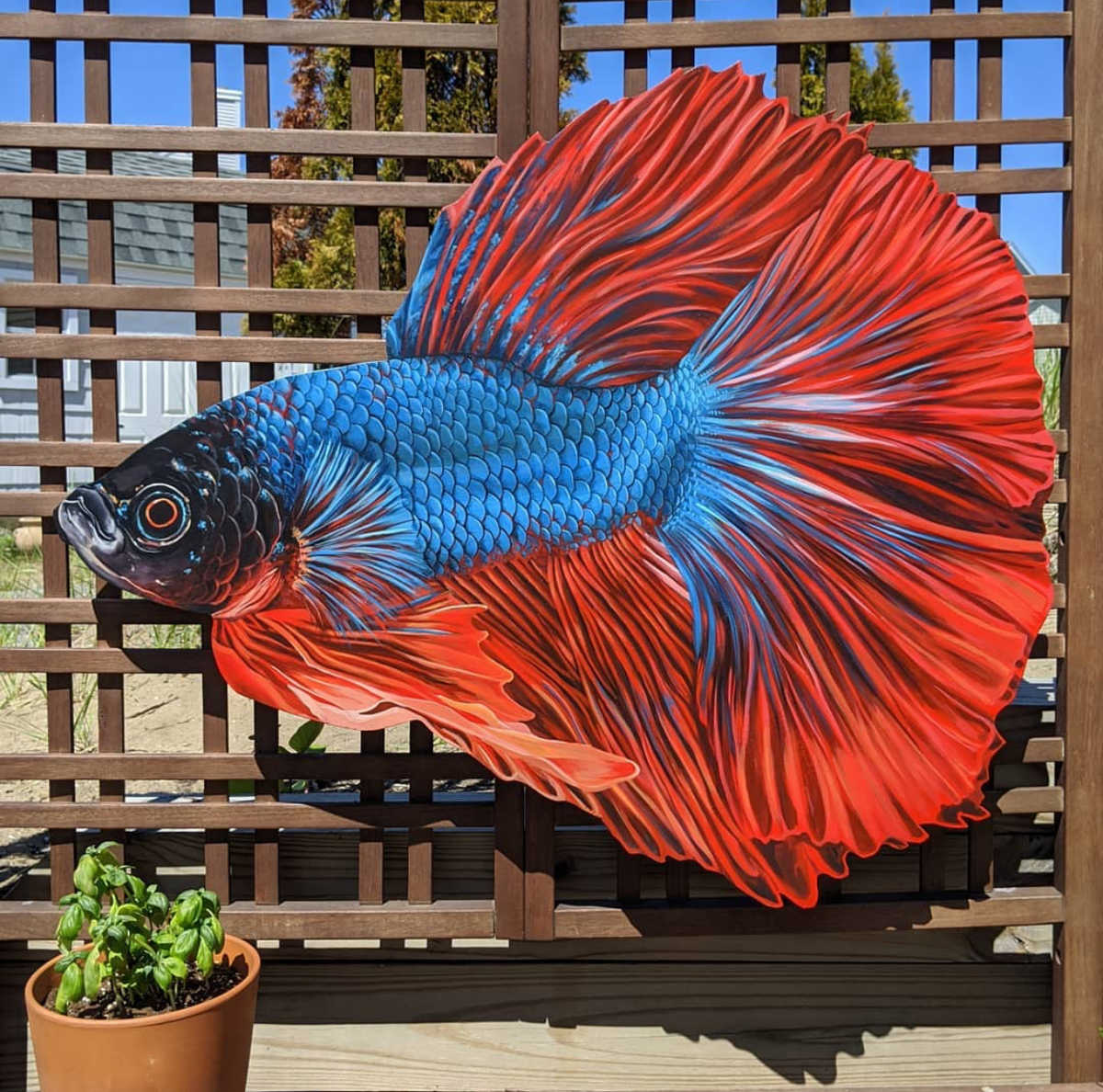 Sophy Tuttle - &quot;Floating Fish 1&quot; - Hand-Embellished Edition of 3 - 12 x 12&quot;
