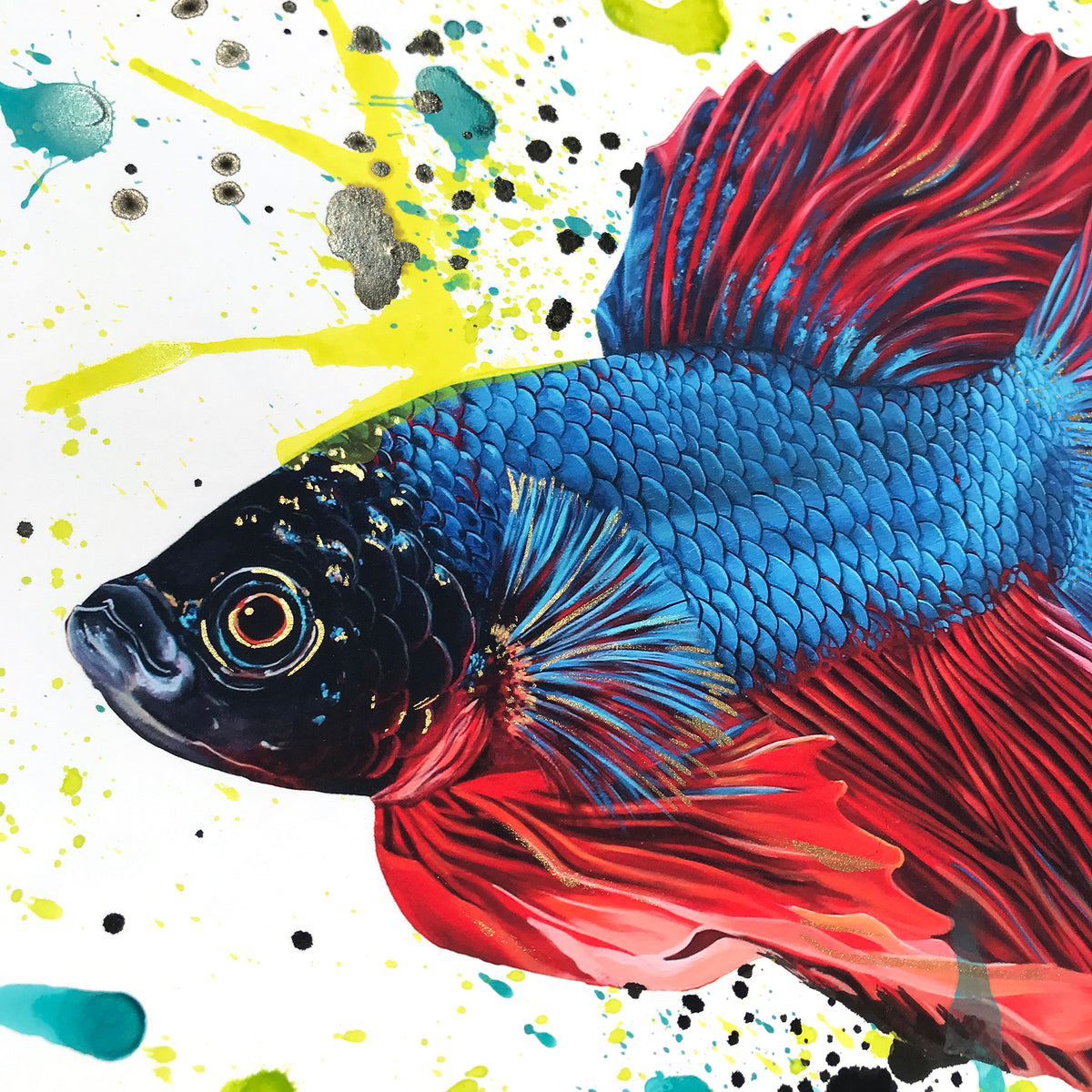 Sophy Tuttle - &quot;Floating Fish 1&quot; - Hand-Embellished Edition of 3 - 12 x 12&quot;
