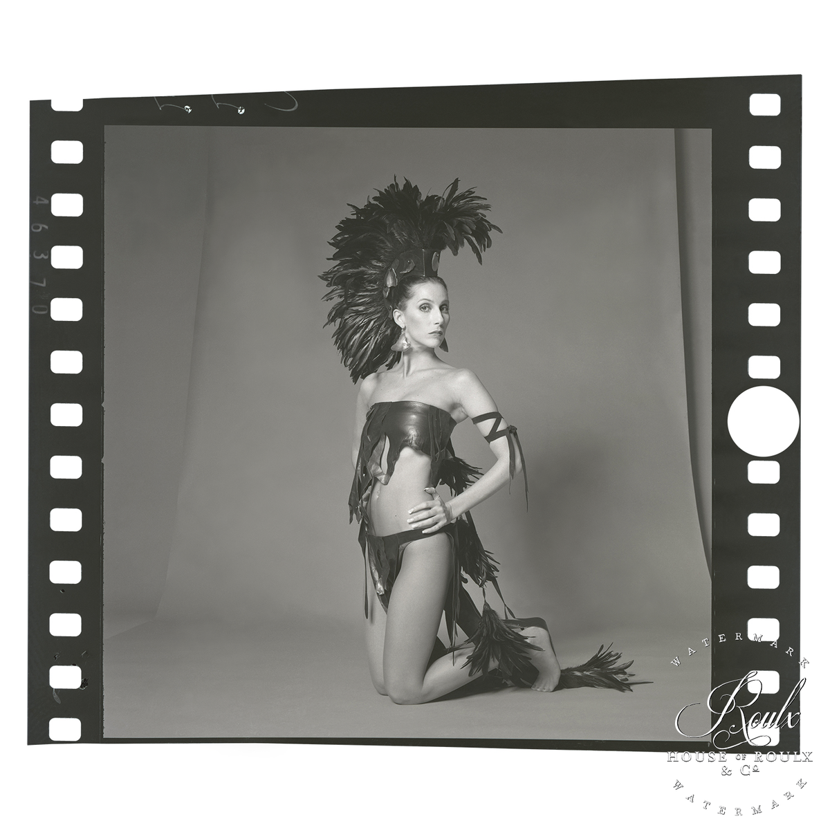 Cher (by Harry Langdon, Jr.) - Limited Edition Archival Print