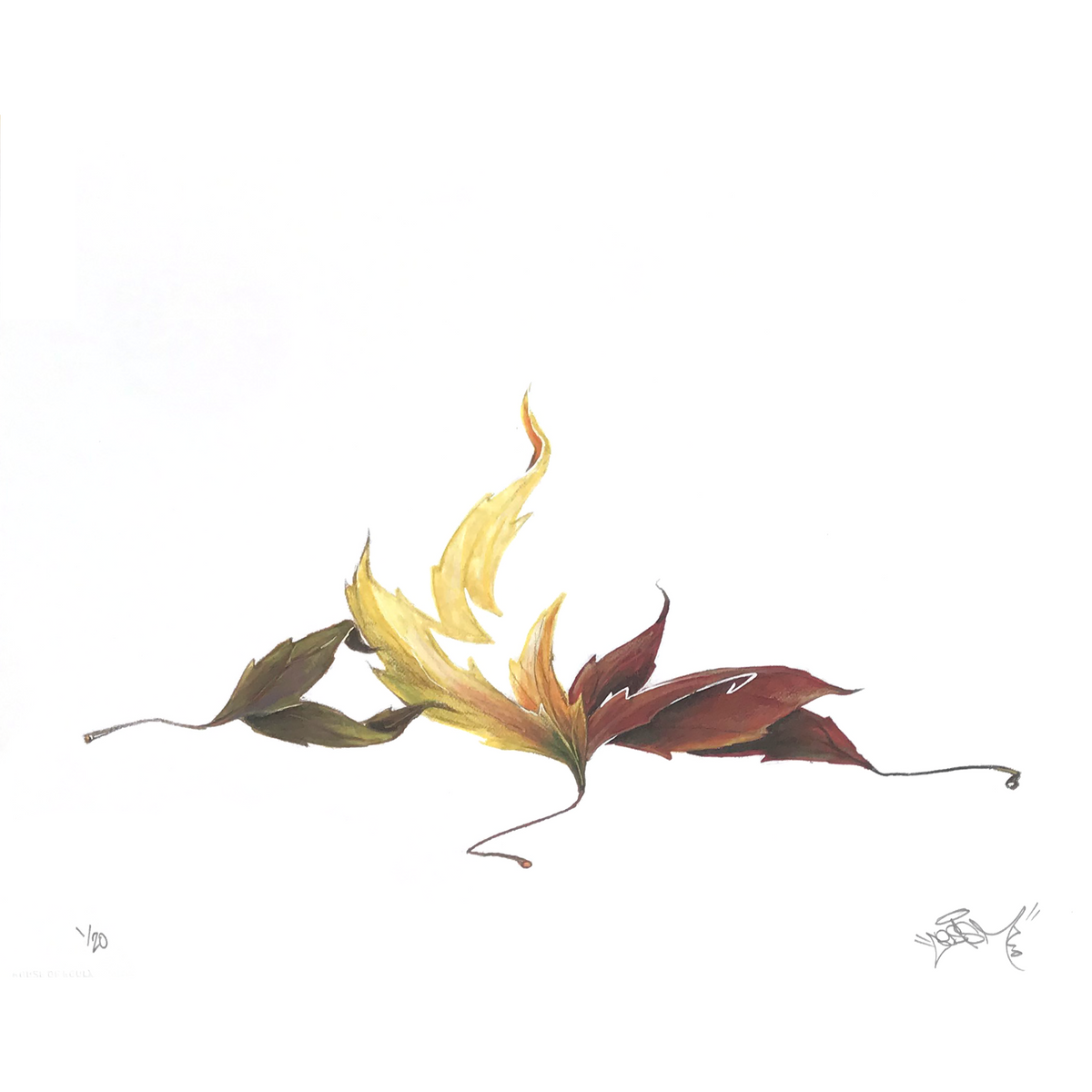 CES &quot;Leaf&quot; - Archival Print, Limited Edition of 20 - 14 x 17&quot;