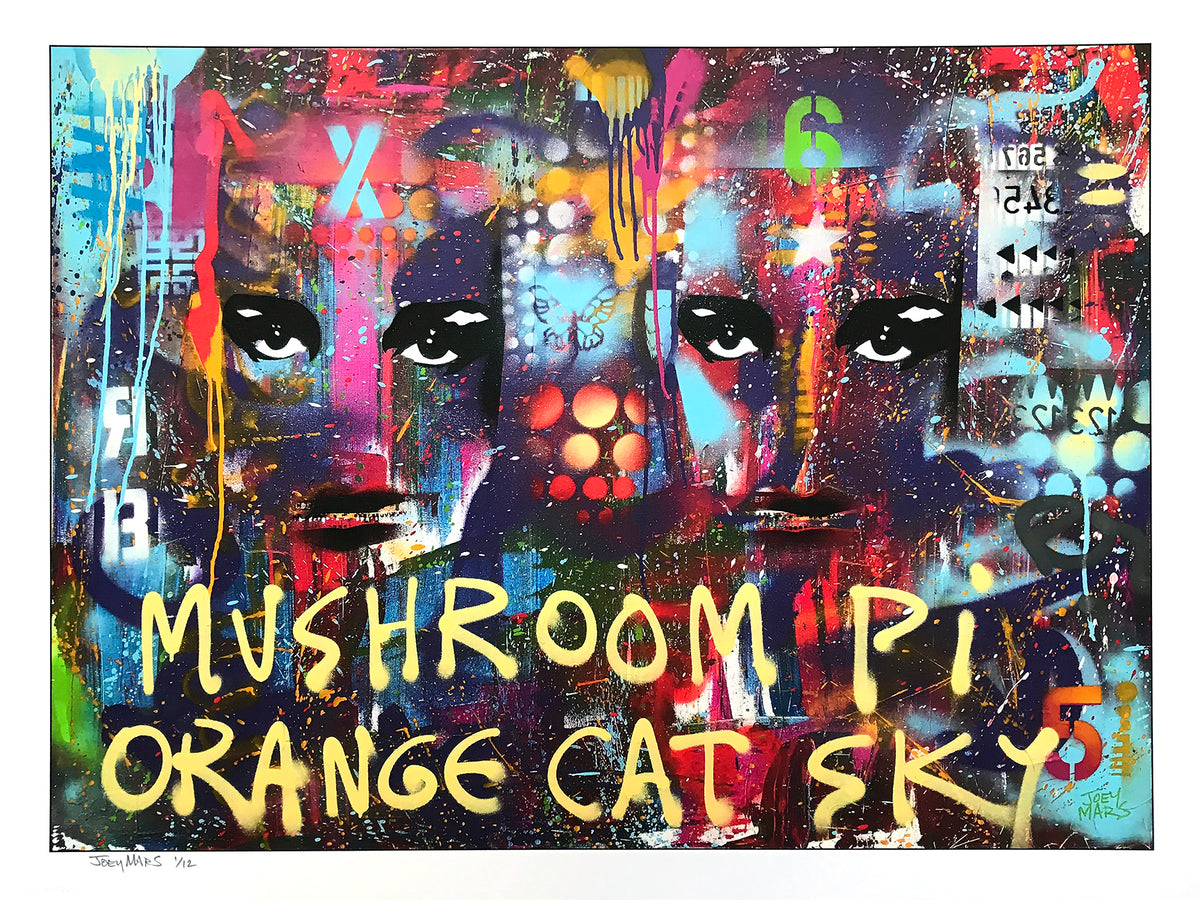 Joey Mars &quot;Mushroom PI Orange Cat Sky&quot; - Archival Print, Limited Edition of 12 - 18 x 24&quot;