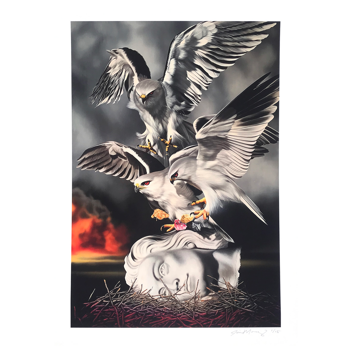 Josie Morway &quot;New Nests&quot; - Archival Print, Limited Edition of 15 - 12 x 17&quot;