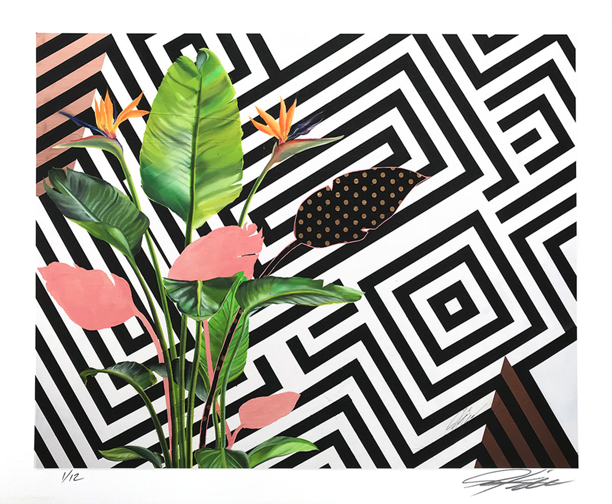 Jeremiah Kille &quot;Birds of Paradise&quot; - Archival Print, Limited Edition of 12 - 14 x 17&quot;