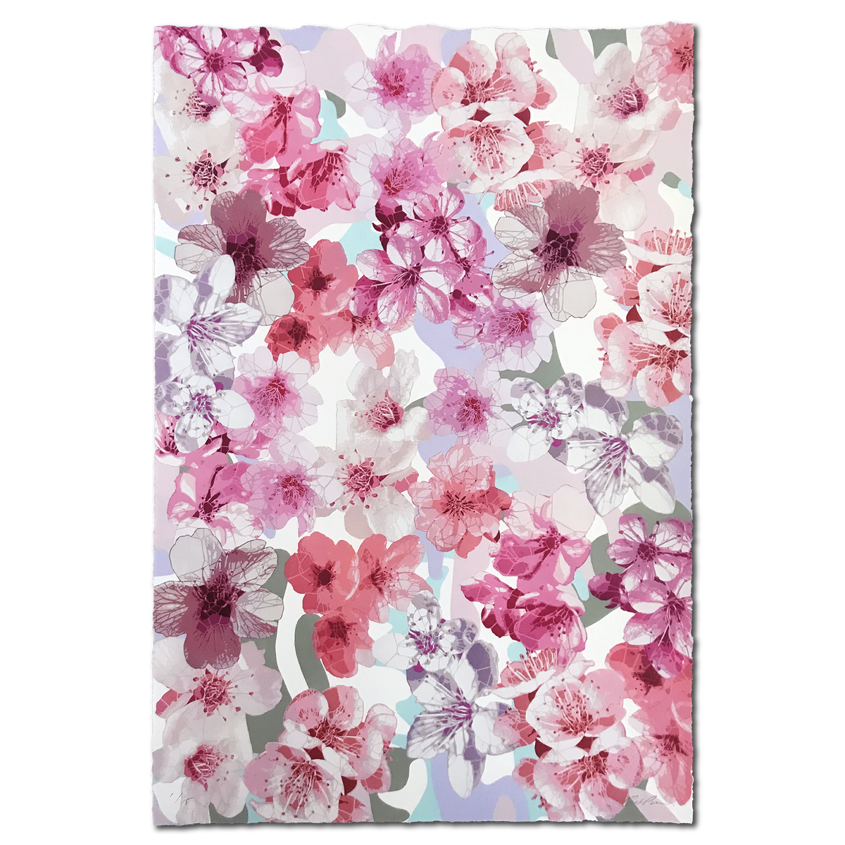 Campbell La Pun &quot;Sakura Hanami&quot; - Archival Print, Limited Edition of 15 - 17.5 x 25.5&quot;