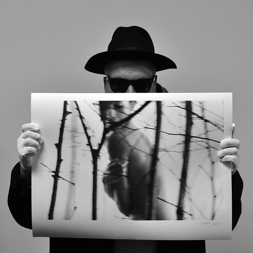 Red-Raven &quot;Nude Birch&quot; - Limited Edition, Archival Print