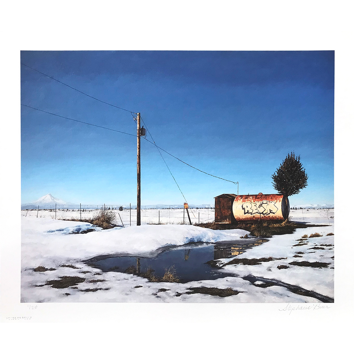 Stephanie Buer &quot;Relik&quot; - Archival Print, Limited Edition of 20 - 14 x 17&quot;
